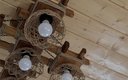 Дом 4-местный 3-комнатный (Оливковый)