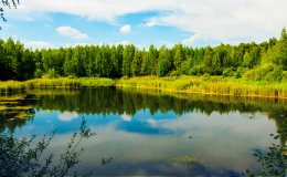Московская область 