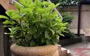 Общая кухня
