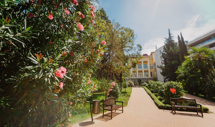 «Swissotel Resort Sochi Kamelia» / «Свисс отель Резорт Сочи Камелия ...