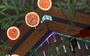 Сибирский чан