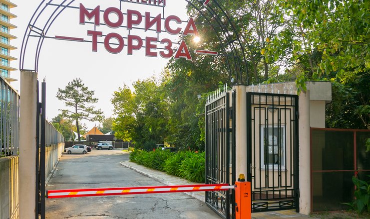 Гибдд на мориса тореза 65 режим работы телефон