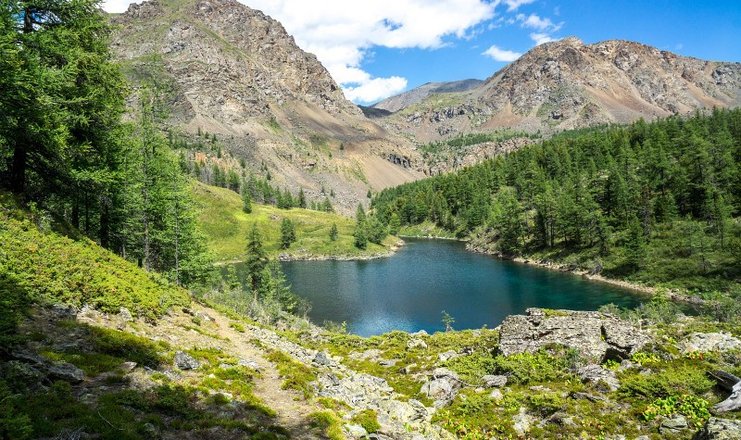 Весна в алтайском крае фото