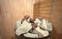 Дом с баней и бассейном 10-местный 7-комнатный