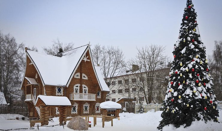 Волга в костроме фото