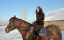 Конные прогулки