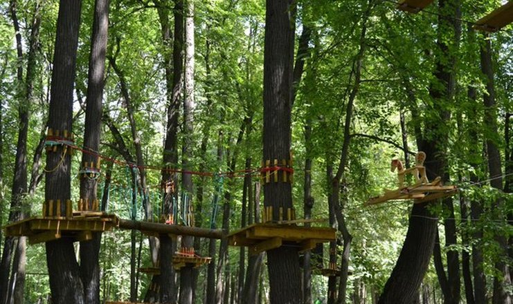 Воздвиженское парк отель подмосковье фото