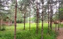 Апартаменты 6-местный 3-комнатный