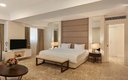 Premier Suite 3-местный 1-комнатный (DBL)