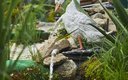 Без названия (5)