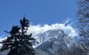 IMG_4387