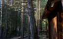 Тропинка с куском дома горизонт