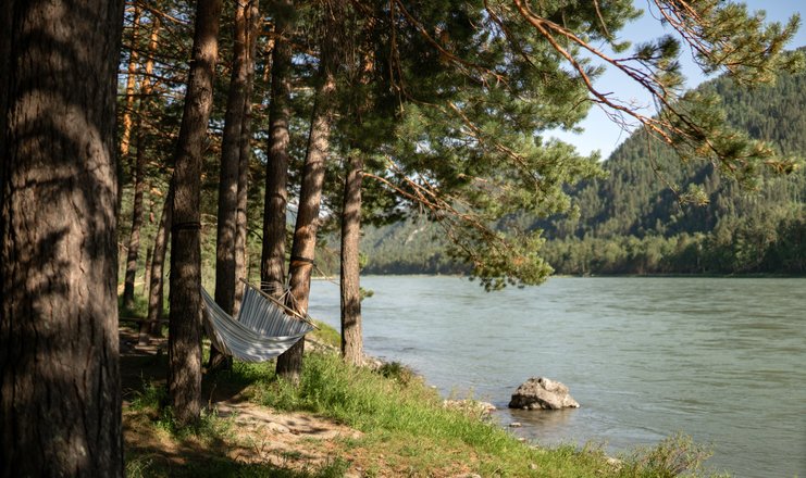 Чепош парк алтай фото