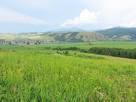 Погода хакасия монок. Деревня табат Хакасия. Большой Монок Хакасия. Село большой Монок Хакасия.