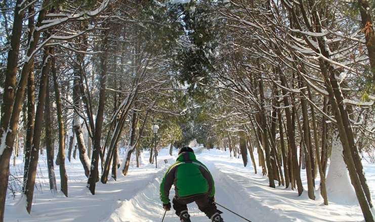 Воздвиженское парк отель подмосковье фото