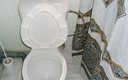 sЛюкс коттедж - санузел