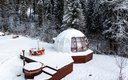 Глэмпинг 4-местный (Звездный)