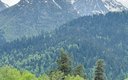 IMG_6435