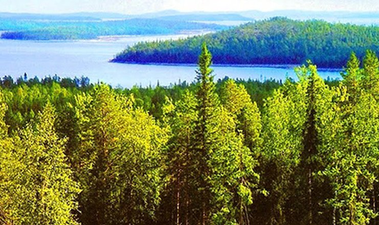 «Сплав по реке Варзуга» (сплав на катамаранах), 7 дней, туристический ...