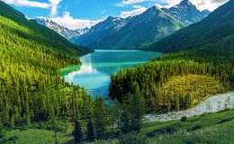 Алтайский край 