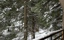 IMG_6622