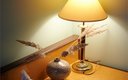 Номер 2-местный (MOZER ROOM)