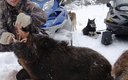 Охота