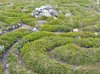 экскурсия море маяк тюлень остров топ. Смотреть фото экскурсия море маяк тюлень остров топ. Смотреть картинку экскурсия море маяк тюлень остров топ. Картинка про экскурсия море маяк тюлень остров топ. Фото экскурсия море маяк тюлень остров топ