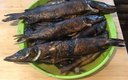 Охота и рыбалка