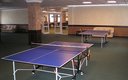 Настольный теннис