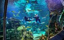 Океанариум