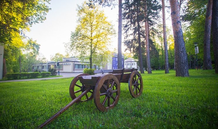 Воздвиженское парк отель подмосковье фото