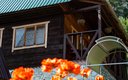 Домик летний 4-местный 3-комнатный (из кедра с баней)
