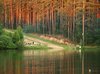 санаторий карагайский бор комнаты. Смотреть фото санаторий карагайский бор комнаты. Смотреть картинку санаторий карагайский бор комнаты. Картинка про санаторий карагайский бор комнаты. Фото санаторий карагайский бор комнаты