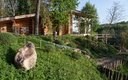 Спасалка вид