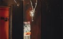 Номер 2-местный (GALLERY NAKOVALNYA)