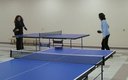 Настольный теннис