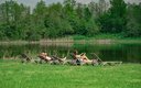 Общий вид