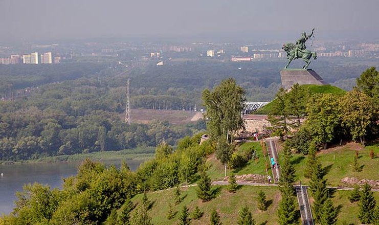 Куст пржевальского фото