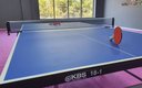 Настольный теннис