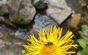 IMG_20250731_163211_870@-209731500