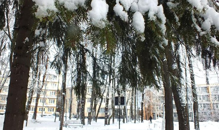 Воздвиженское парк отель подмосковье фото