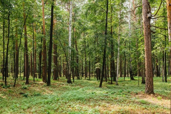 Увельский район фото