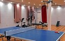 Настольный теннис