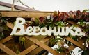 Коттедж 6-местный (Вероника)