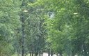 Вид на парк