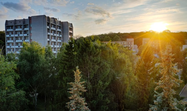 Санаторий имени горького воронеж руководство