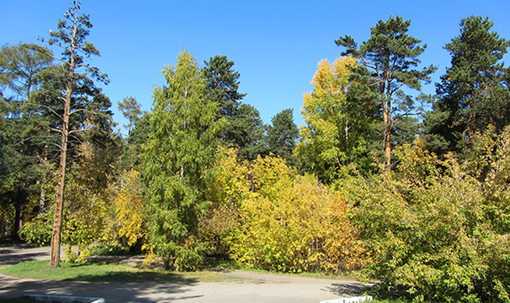 Остановка курорт ангара иркутск фото