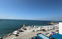 Вилд на море