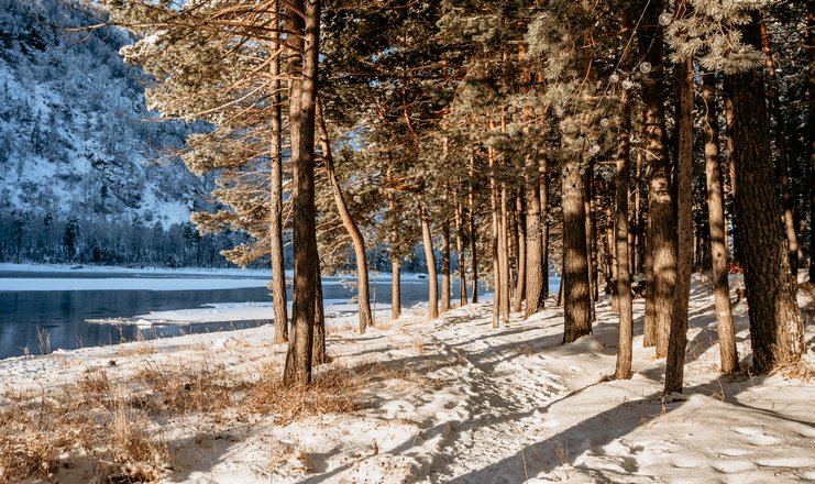 Чепош парк алтай фото